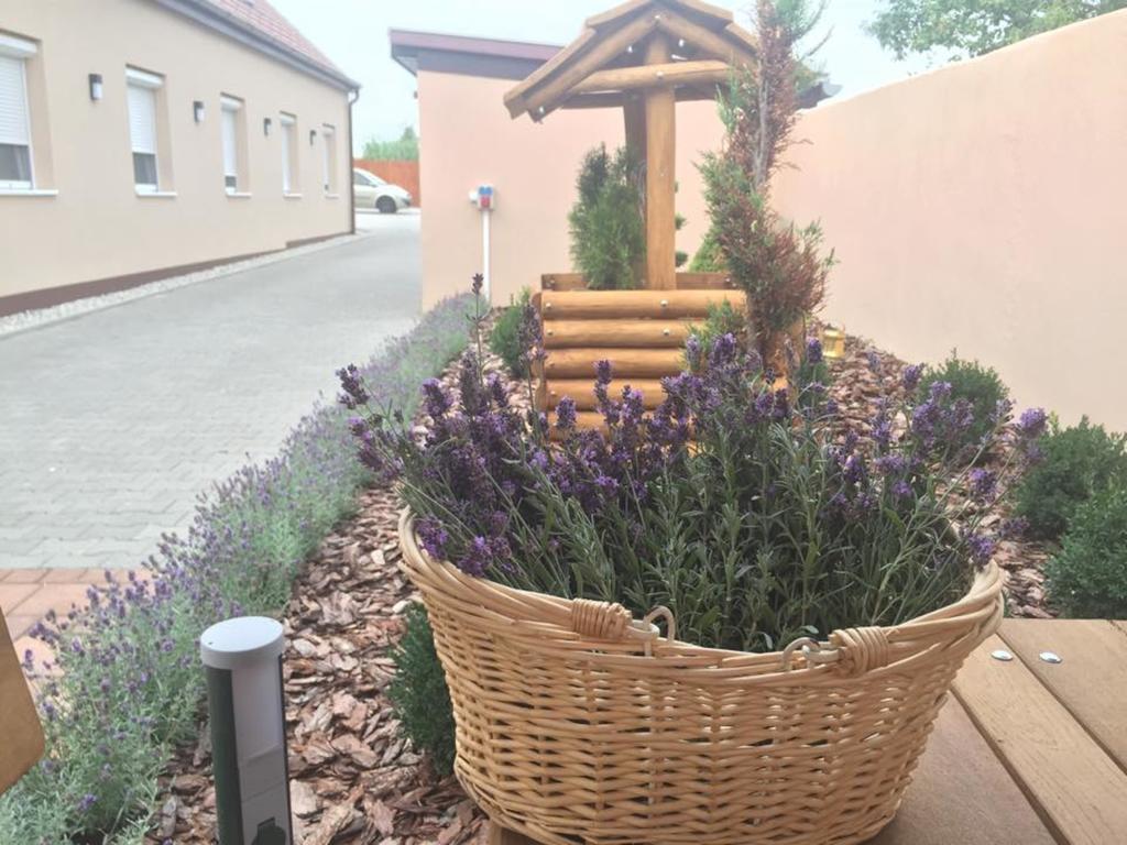 Hotel Levendula Vendeghaz Győr Zewnętrze zdjęcie